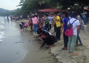 DENR-Romblon leads 30th International Coastal Clean-up Celebration