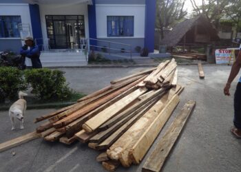 Mga inabandonang illegal na troso ng kahoy, nasabat ng DENR at PNP sa San Fernando, Romblon