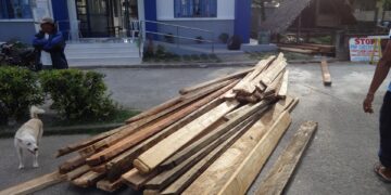 Mga inabandonang illegal na troso ng kahoy, nasabat ng DENR at PNP sa San Fernando, Romblon