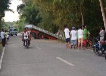 Truck sa Alcantara nawalan ng preno; nahulog sa gutter