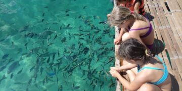 Tablas Island wows French blogger and family