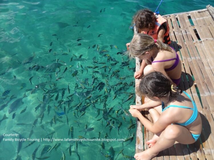 Tablas Island wows French blogger and family