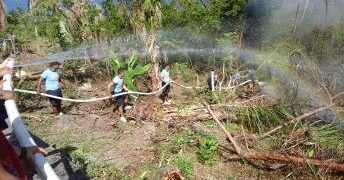 Bahagi ng gubat sa Brgy. Lagang, Banton; nasunog