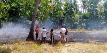 Gubat sa Barangay Tumingad sa Odiongan, nasunog