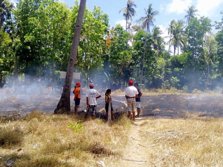Gubat sa Barangay Tumingad sa Odiongan, nasunog