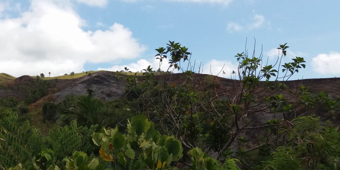 Malawak na damuhan sa San Agustin, nasunog