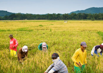 Farm Tourism, posibleng sagot sa Turismo sa Romblon