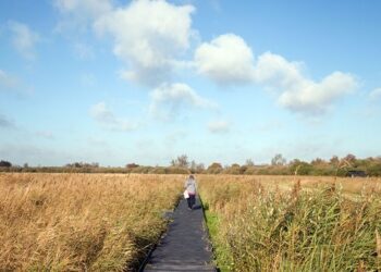 Photograph: Alamy