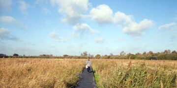 Photograph: Alamy