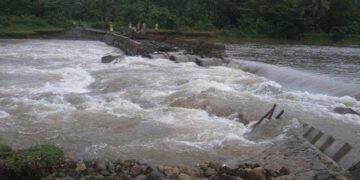 Photo Courtesy of Elleiane Rugas Royo