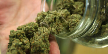 2 binata, arestado dahil sa marijuana sa Romblon