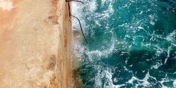 Photo Courtesy: Bernie Fallurin