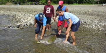 Photo Courtesy of San Fernando Police