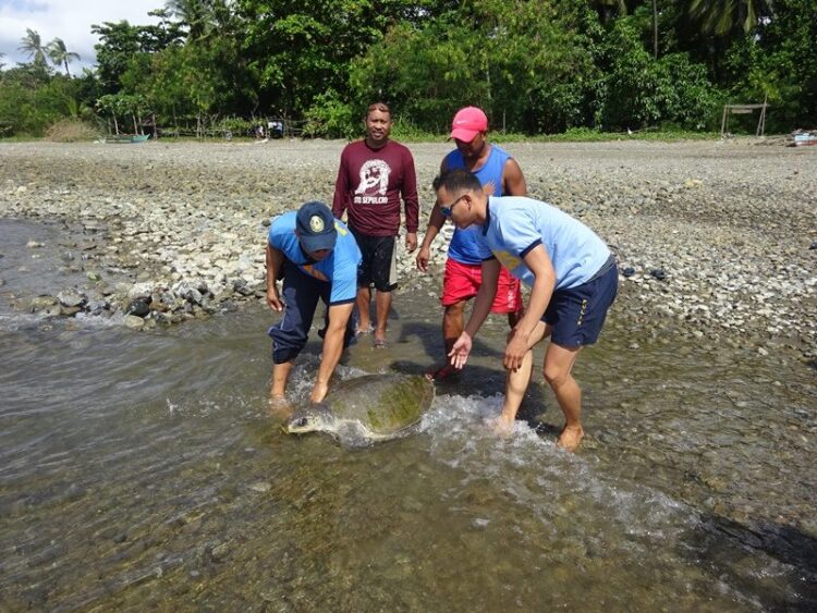 Photo Courtesy of San Fernando Police