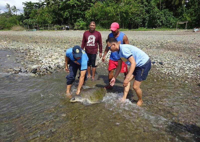 Photo Courtesy of San Fernando Police