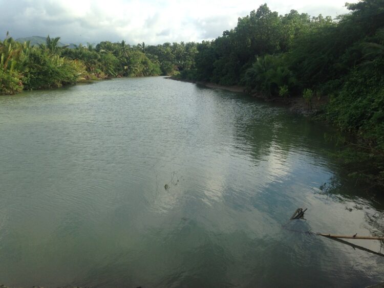 Magkapatid sa Odiongan; patay matapos malunod sa ilog