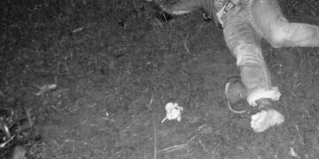 Still No Suspect/s in killing of Looc LGU Employee