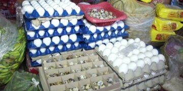 Bentahan ng itlog sa Romblon, matumal kasunod ng balita sa Bird Flu sa Pampanga