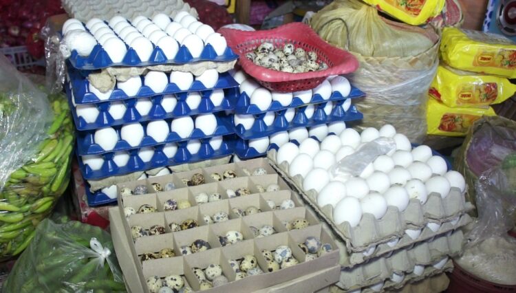 Bentahan ng itlog sa Romblon, matumal kasunod ng balita sa Bird Flu sa Pampanga