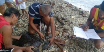 Photo Courtesy: Rose Romblon