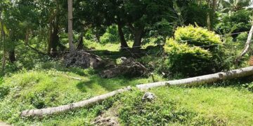 Corcuera mayor urges SB Member to investigate 3 cases of electrocution