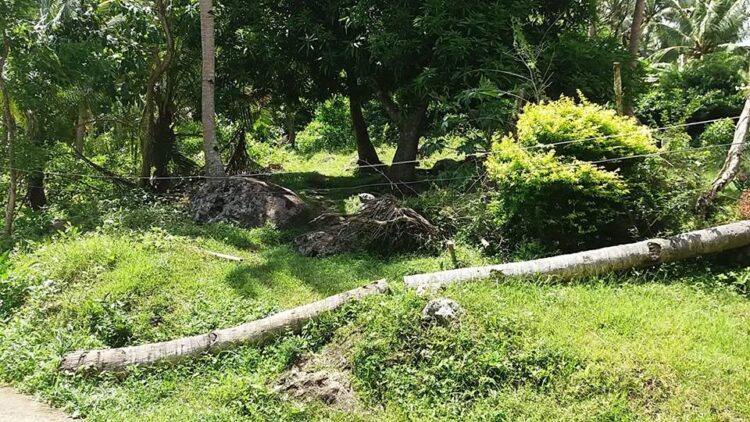 Corcuera mayor urges SB Member to investigate 3 cases of electrocution