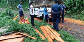 Mga pinutol na mahogany lumbers, nasabat ng Pulisya