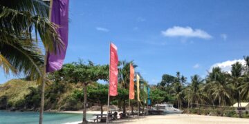Department of Tourism MIMAROPA, may bagong Regional Director