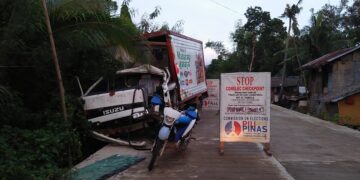 Delivery Van, sumalpok sa likod ng truck; Driver, sugatan