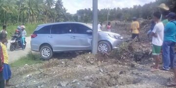 Photo Courtesy of Anton Van Ferrancullo