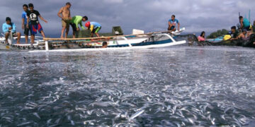 FILE PHOTO. Mga mangingisda sa Romblon.