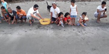 Mga baby pawikan ibinalik sa karagatan