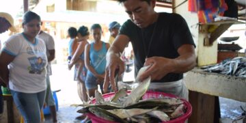 DOH: Hindi ka makakuha ng HIV sa pagkain ng Isda