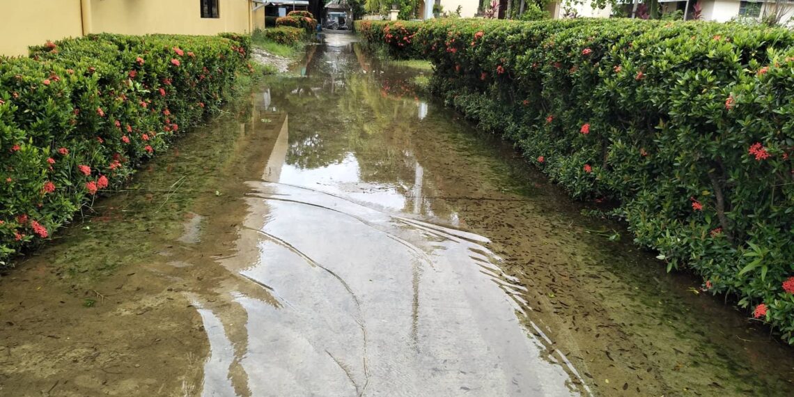 IReport: Pathway sa labas ng Ferrol Municipal Hall na lubog sa baha, binabahayan na ng lamok