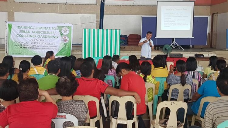 Mga residente ng Odiongan, sinanay sa urban agriculture, container gardening