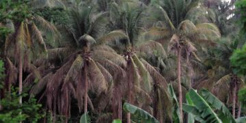 FILE PHOTO from INQUIRER.NET