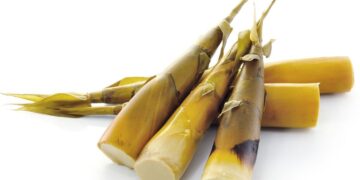 Bamboo shoot fiber helps prevent obesity