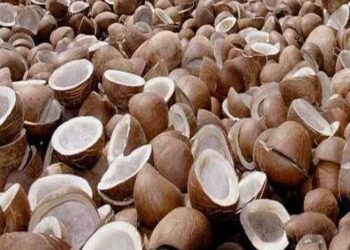 Photo credit: www.indiamart.com