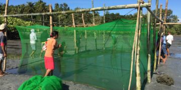 Ang mga miyembro ng SLP MANHAK Association kasama ang kanilang pamilya ay nagtulungan at nagbayanihan upang mabuo ang kanilang proyekto. (Larawan ni Rea Rosario Malite/DSWD Field Office Mimaropa)
