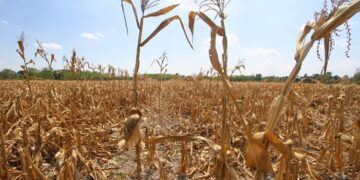 FILE: PhilNews