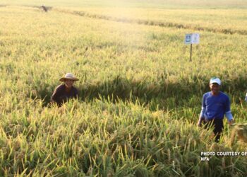 PRRD signs into law Sagip Saka Act