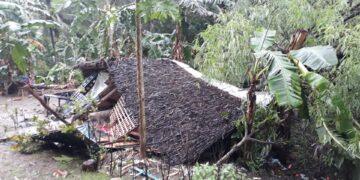 Bahay, nabagsakan ng puno sa Looc, Romblon
