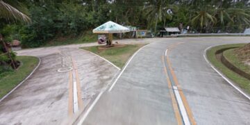 Lola, patay matapos mahulog sa sinasakyang tricycle