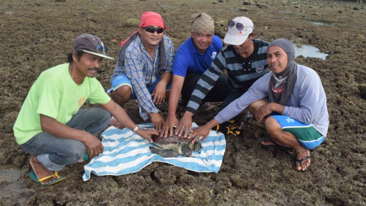 Babaeng pawikang na trap sa kanal, ibinalik sa dagat