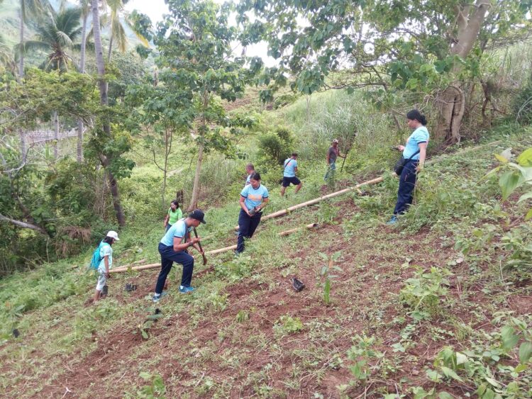 Pili at Cacao Tree, sabayang itinanim sa Santa Maria