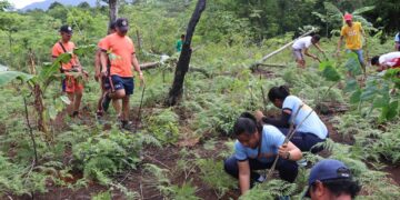 Photo Courtesy: Romblon Police Provincial Office