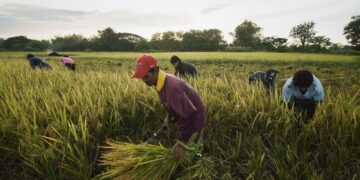 U_Spy: Sino sasagip sa mga magsasaka?