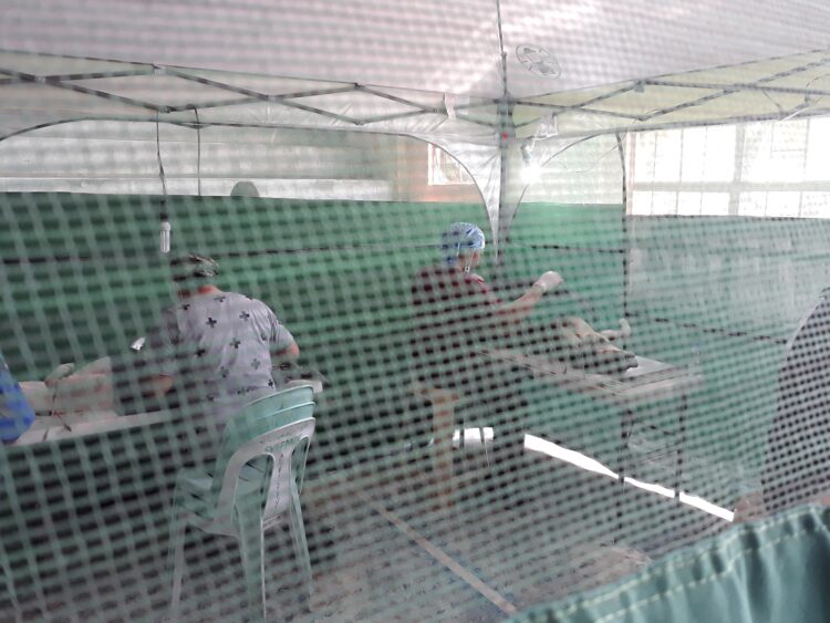 Libreng pakapon ng mga aso at pusa, isinasagawa sa Romblon