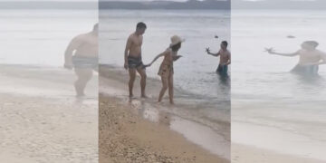 BFAR-Romblon nanawagan sa publiko na huwag paglaruan ang mga Starfish