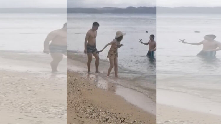 BFAR-Romblon nanawagan sa publiko na huwag paglaruan ang mga Starfish